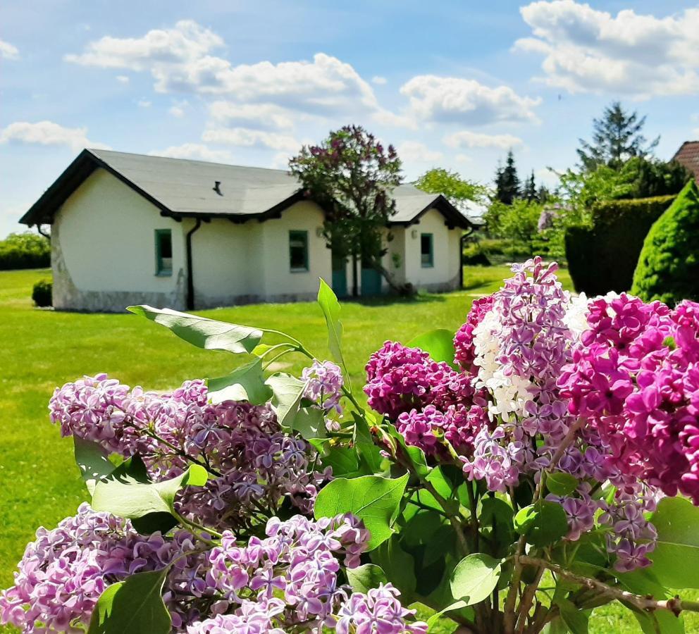 Pension Landhaus Teichgraf Wolgast Dış mekan fotoğraf