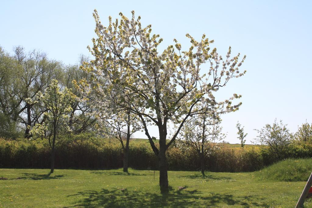 Pension Landhaus Teichgraf Wolgast Dış mekan fotoğraf